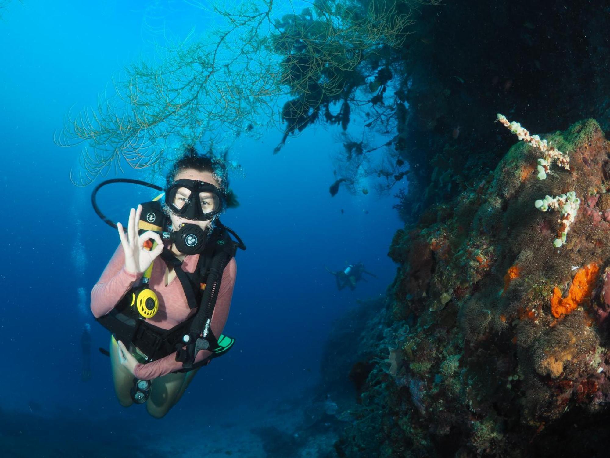 Liberty'S Lodge And Diving - Apo Island 두마구에테 외부 사진