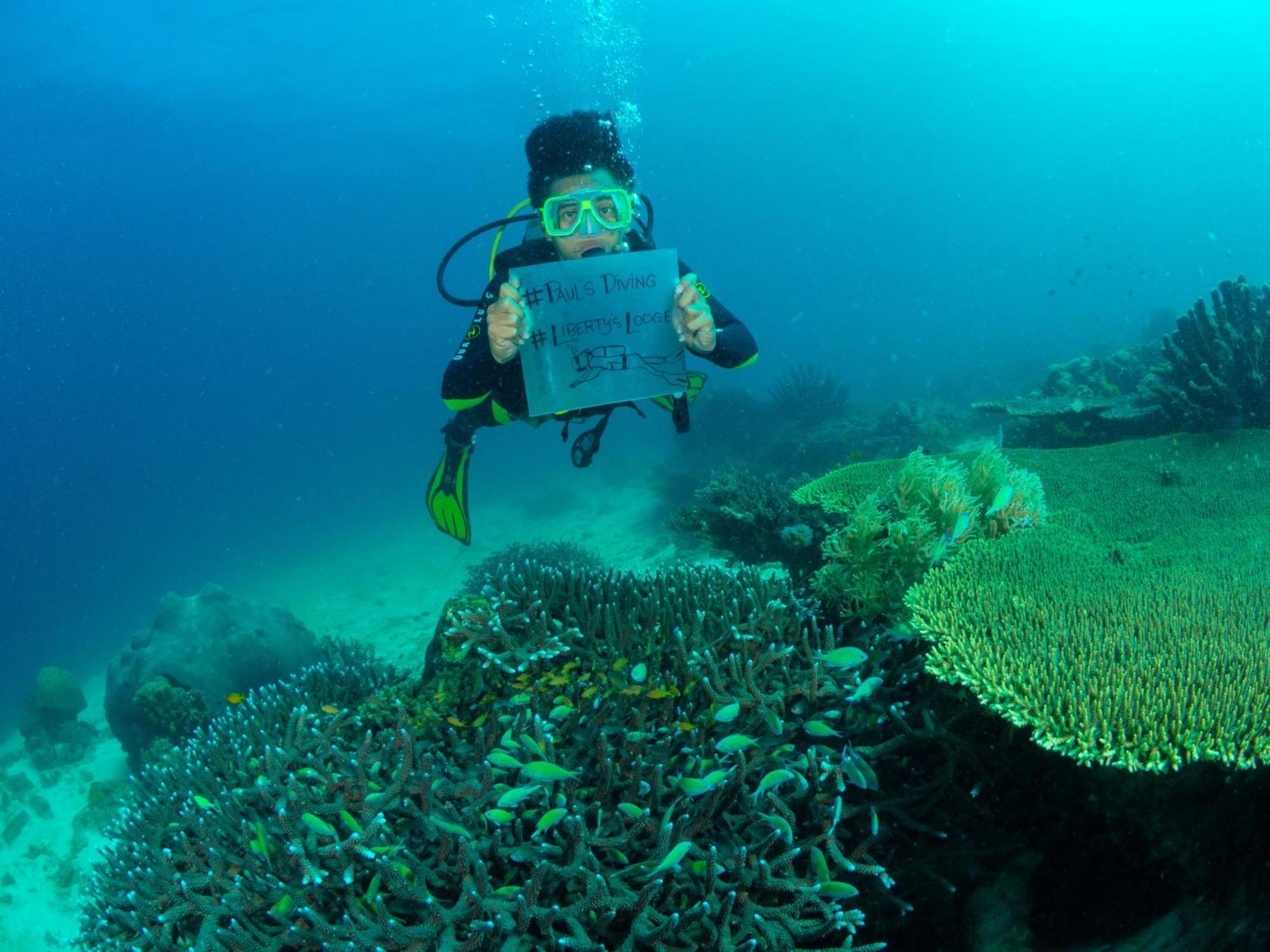Liberty'S Lodge And Diving - Apo Island 두마구에테 외부 사진